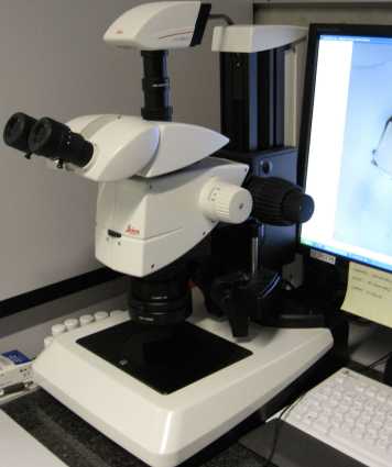 Enlarged view: Leica Microscope